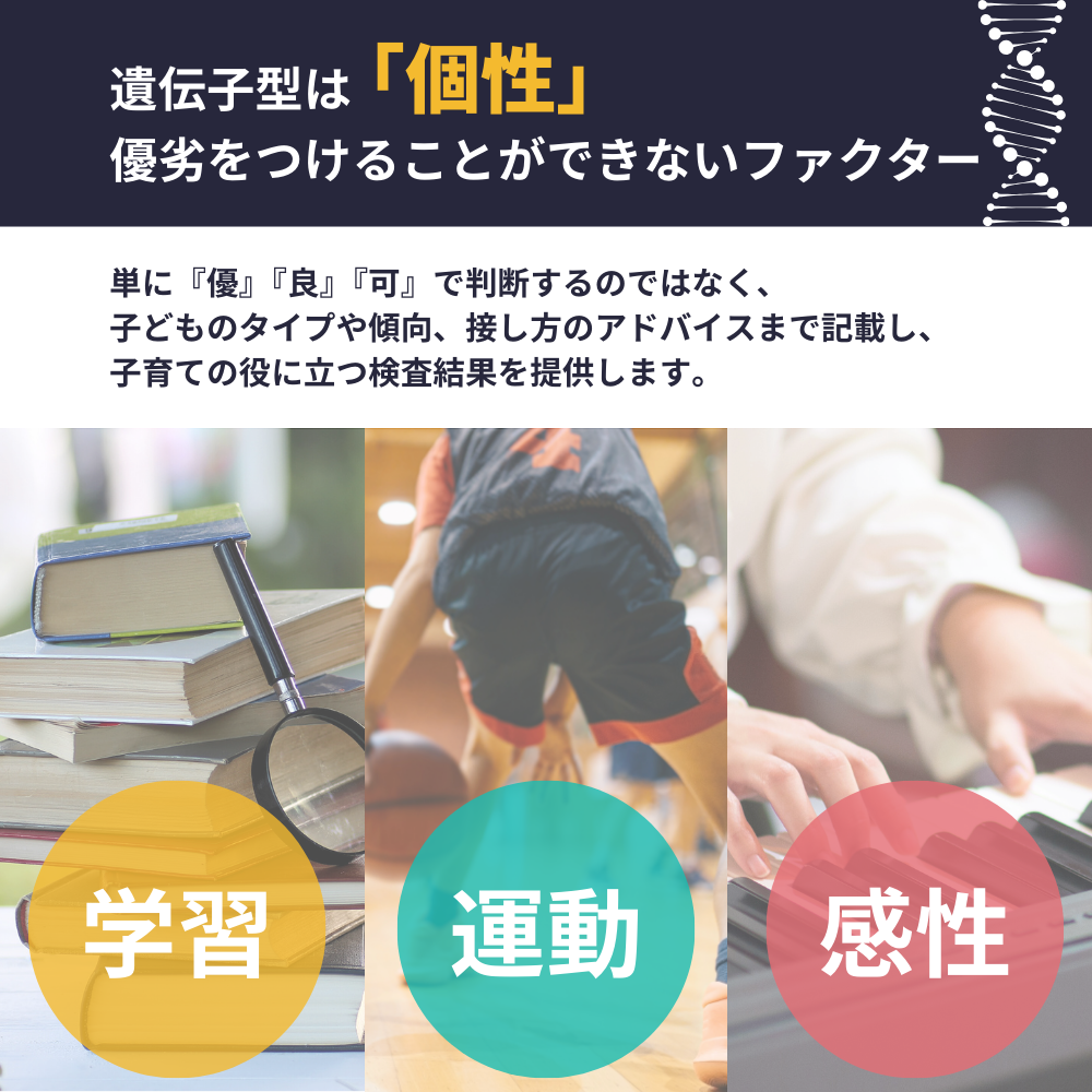 【スマホ版】ハピネス診断/学習能力(全3遺伝子)/子どもの能力遺伝子検査