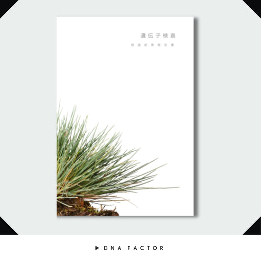 AGAリスク遺伝子検査 / GENETIST / 全2遺伝子 *男性専用商品*