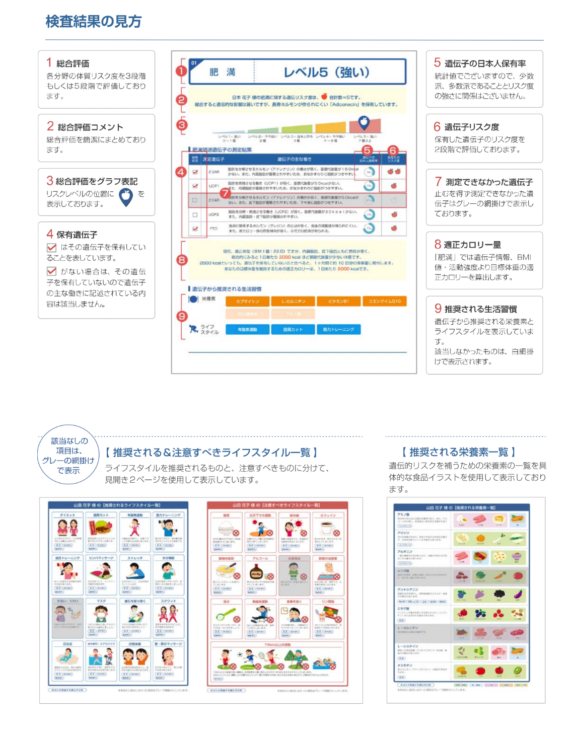 生活習慣病のリスク遺伝子検査/DISEASES/ディジーズ/全16項目を解析