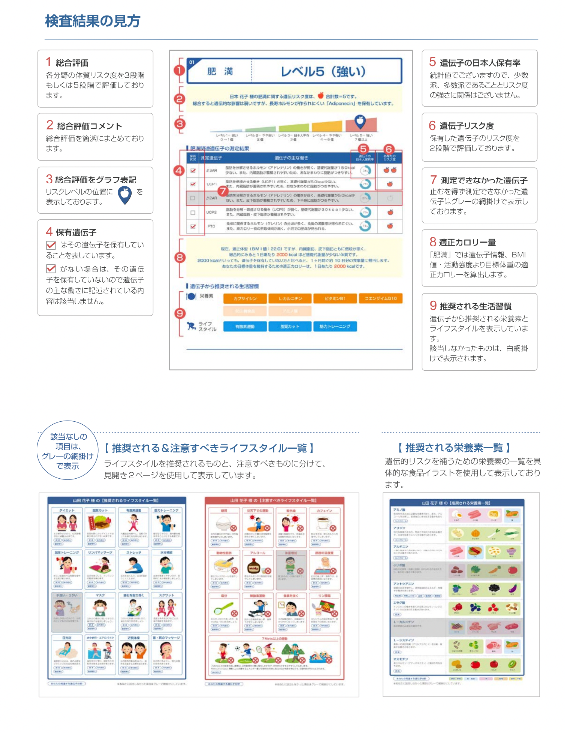 生活習慣病のリスク遺伝子検査/DISEASES/ディジーズ/全16項目を 生活習慣病のリスク遺伝子検査/DISEASES/ディジーズ/全16項目を