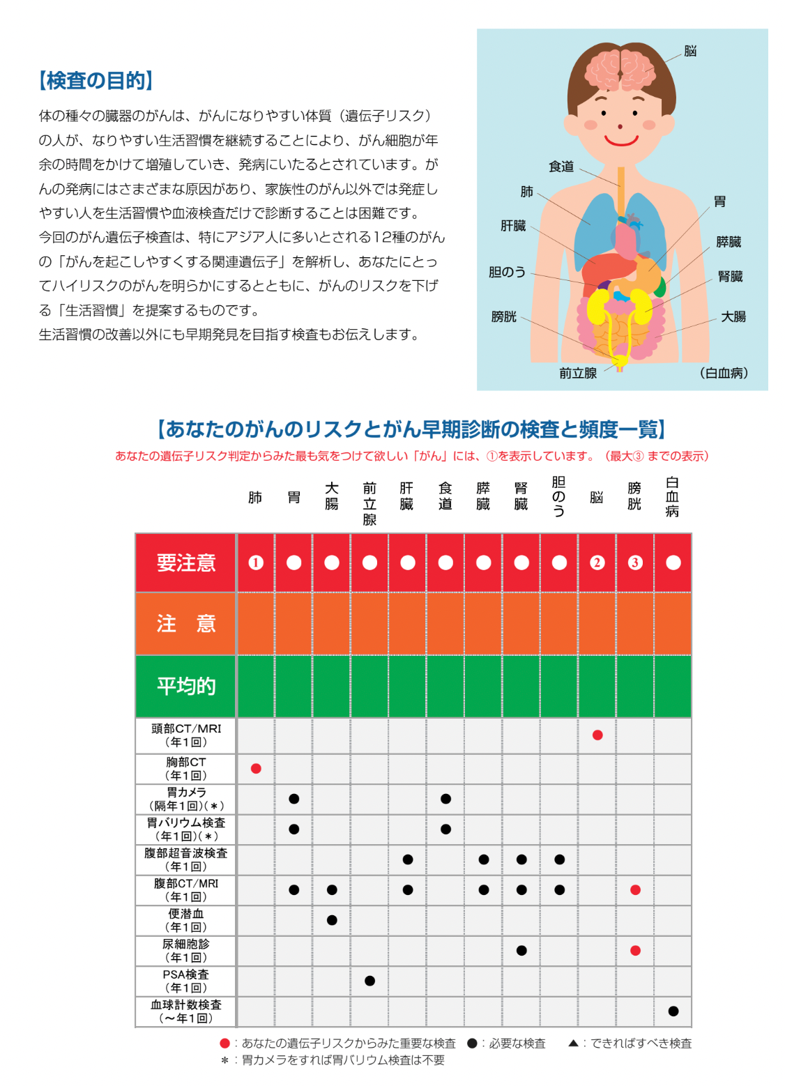 癌のリスク遺伝子検査/CanceR/キャンサー/全14部位を分析