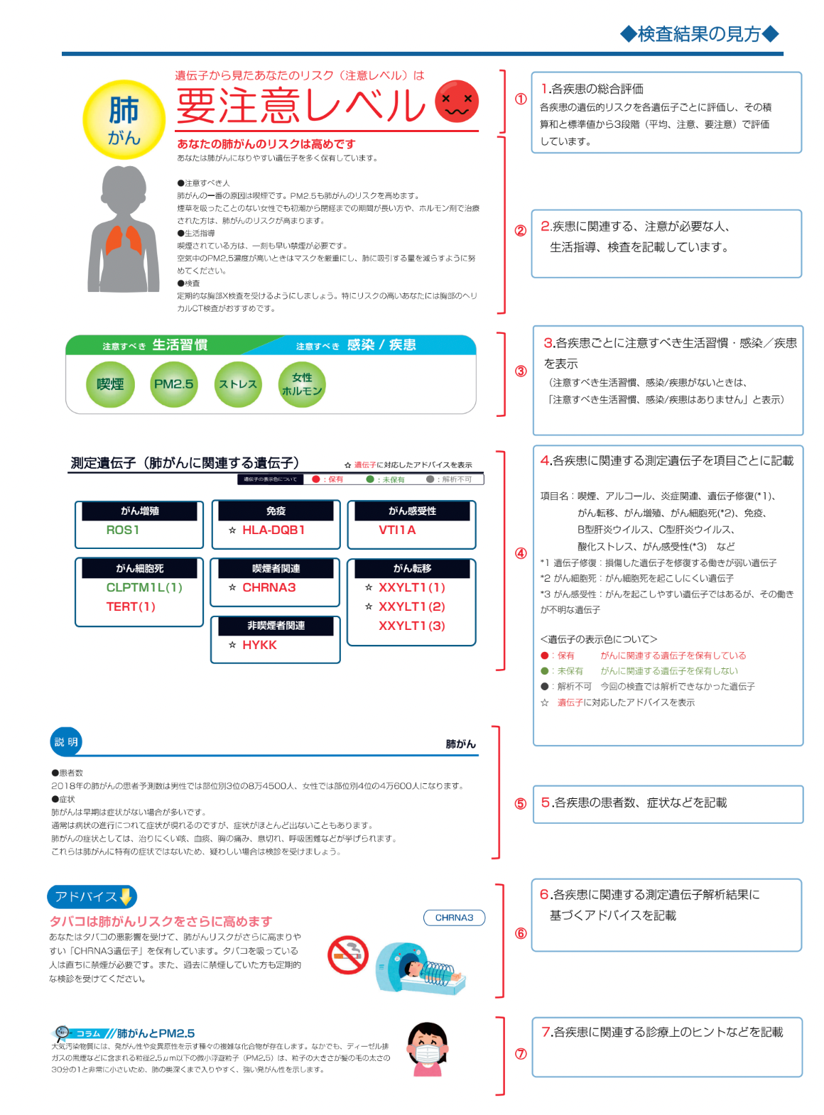 癌のリスク遺伝子検査/CanceR/キャンサー/全14部位を分析