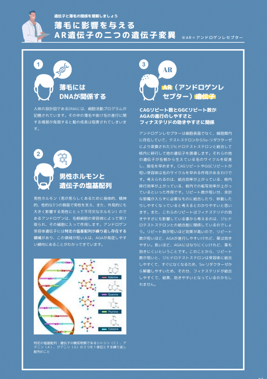 AGAリスク遺伝子検査 / GENETIST / 全2遺伝子　＊男性専用商品＊